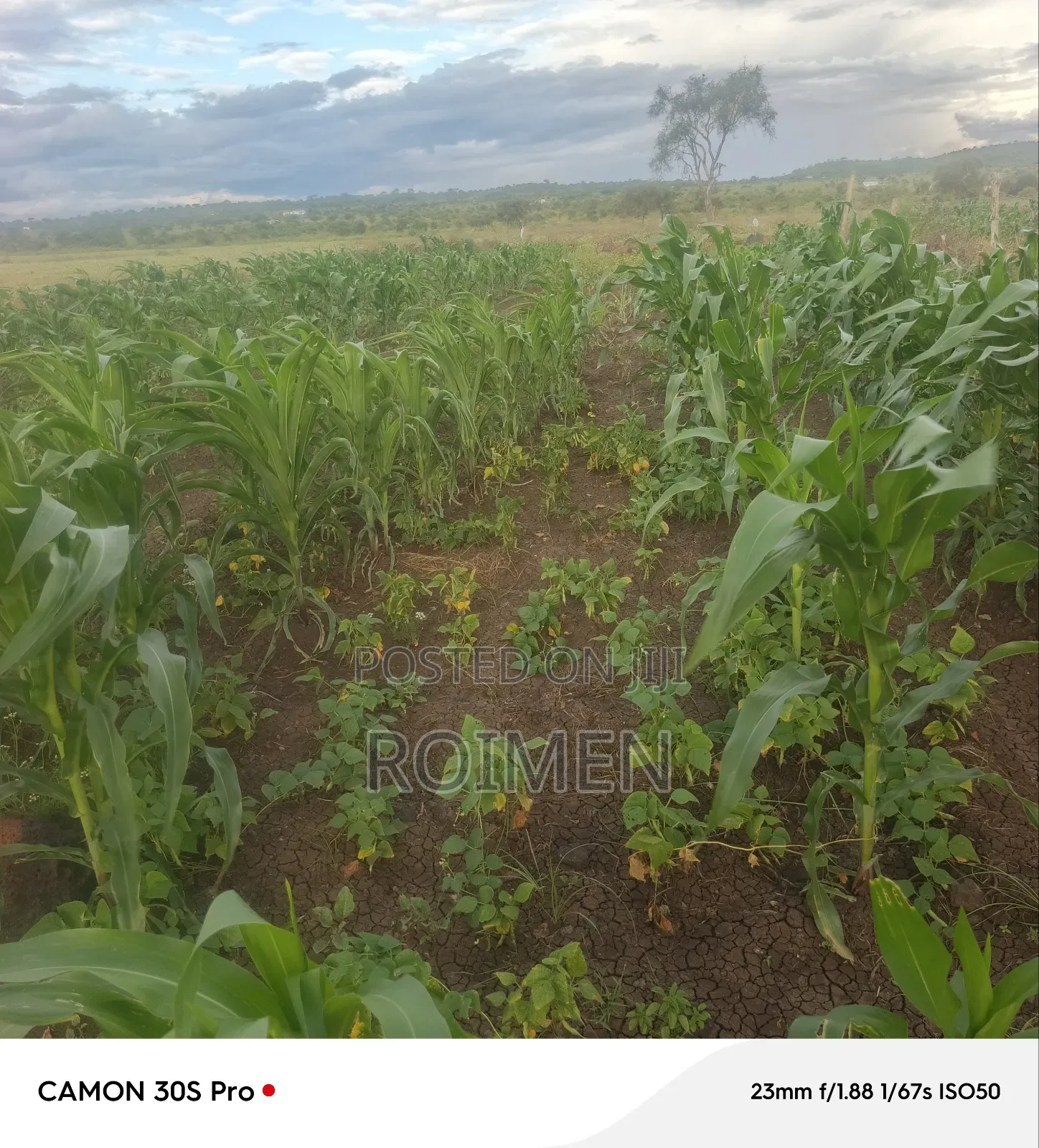 16 Acres Land for Sale