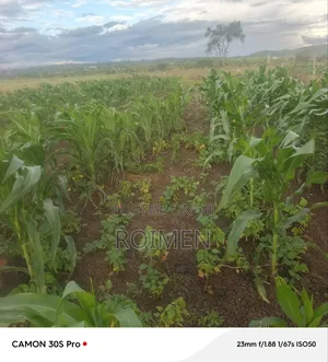 16 Acres Land for Sale