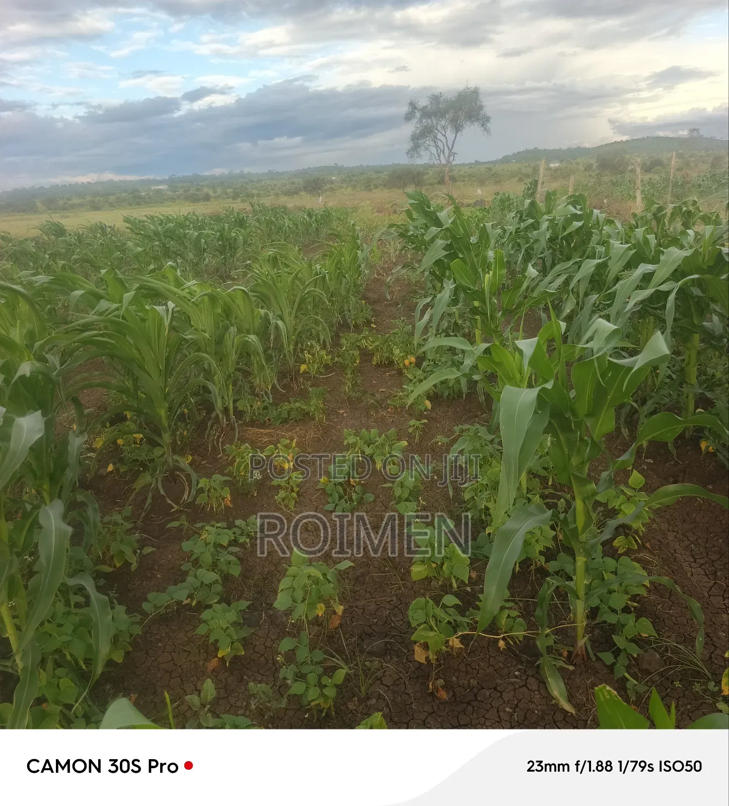 16 Acres Land for Sale