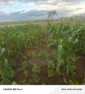 16 Acres Land for Sale