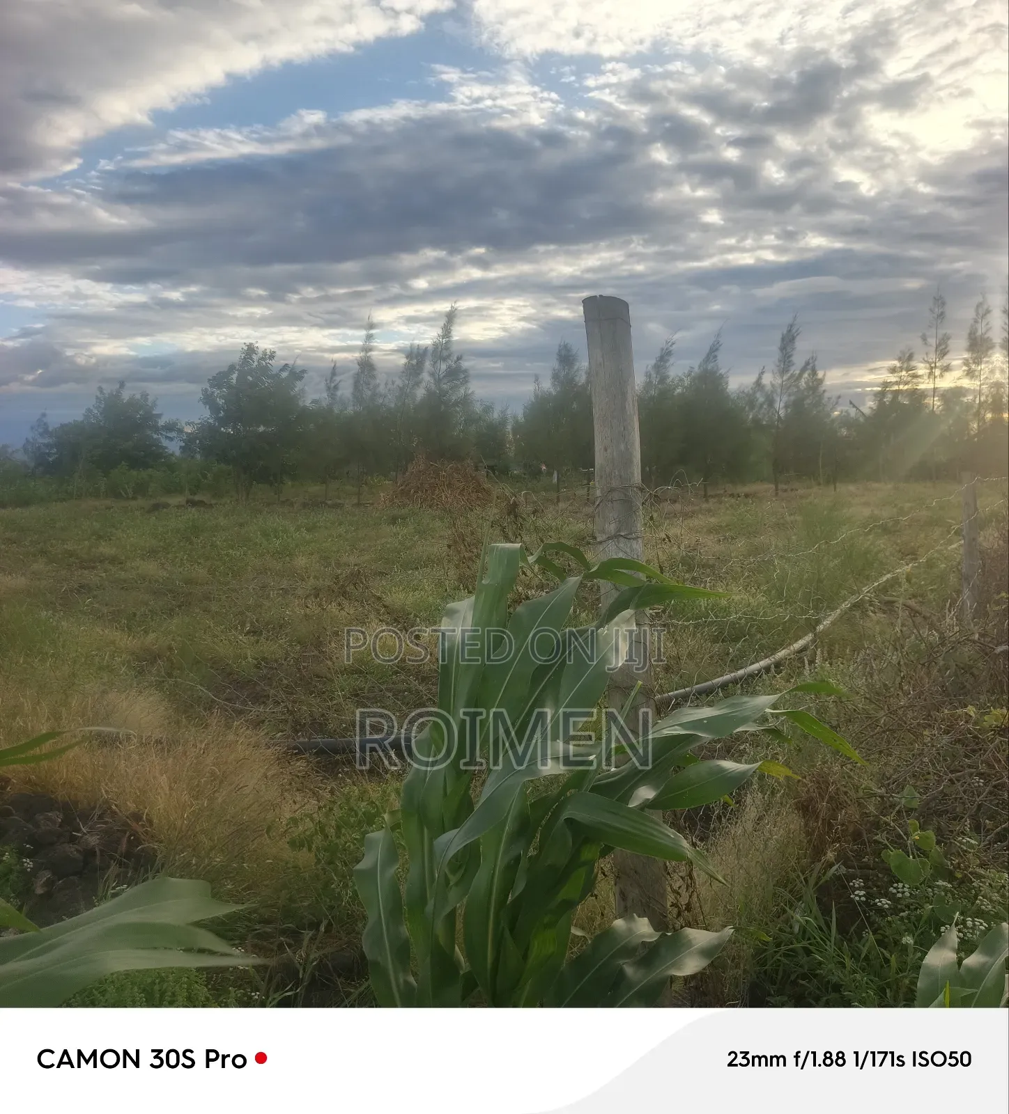 16 Acres Land for Sale