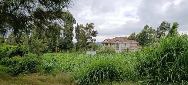 Plot for Sale in Kikuyu Kerwa (Ready Title Deed)