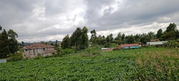 Plot for Sale in Kikuyu Kerwa (Ready Title Deed) - thumbnail 6