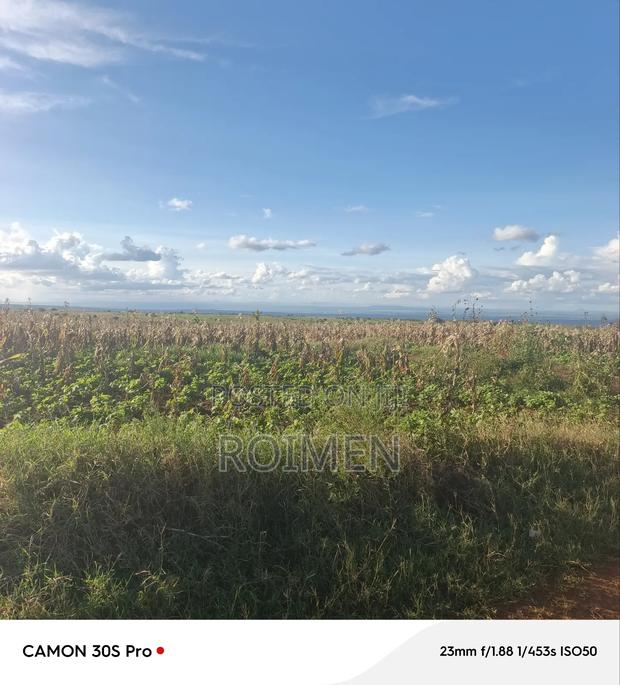 3 Acres of Land Available for Sale