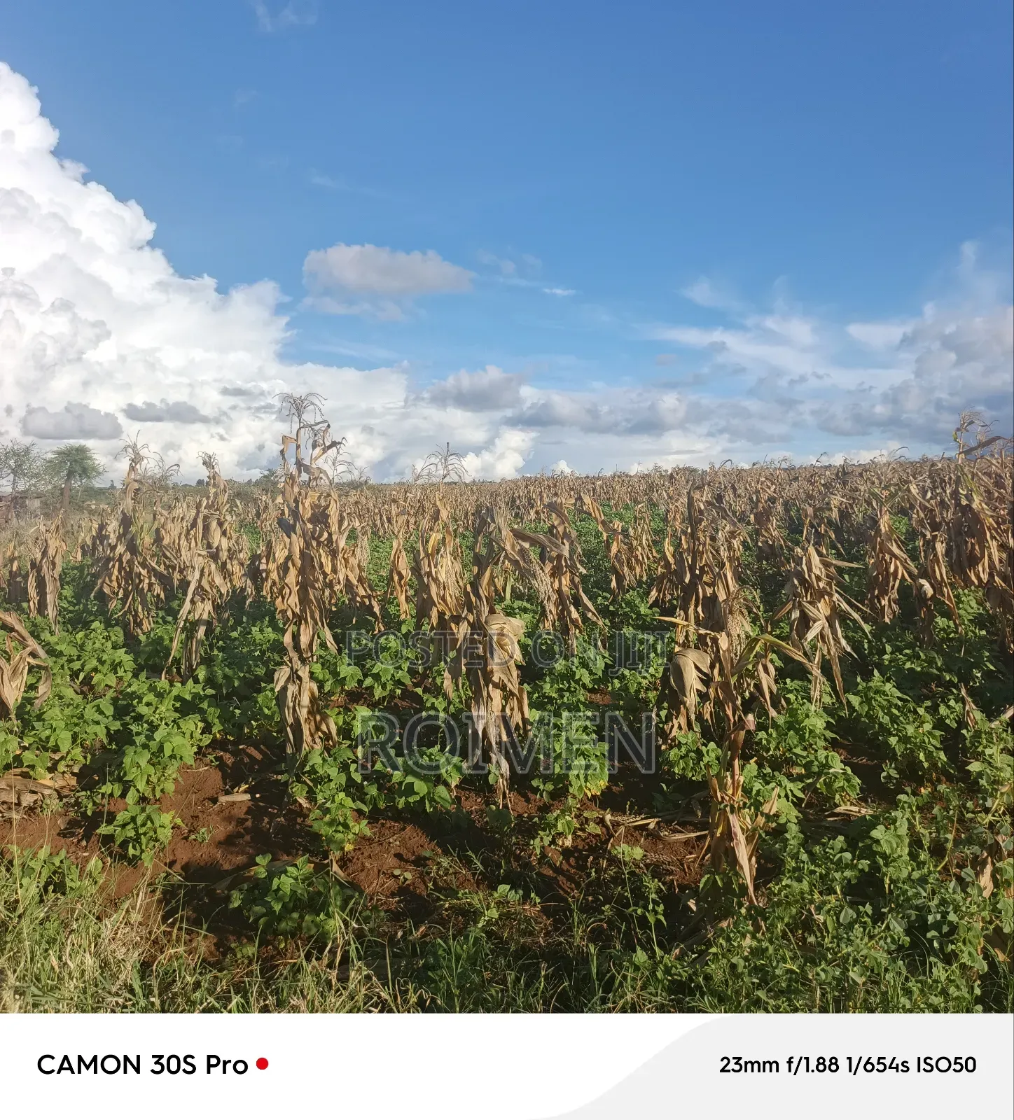 3 Acres of Land Available for Sale