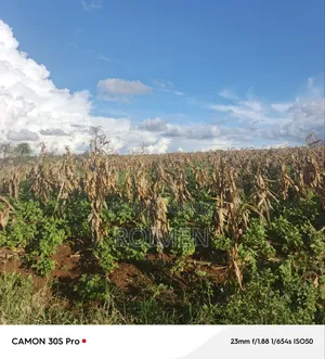 3 Acres of Land Available for Sale