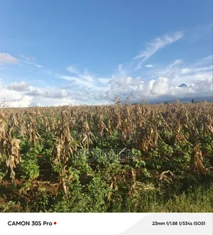3 Acres of Land Available for Sale