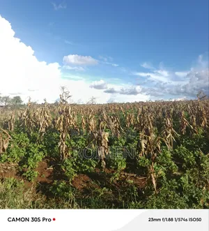 3 Acres of Land Available for Sale