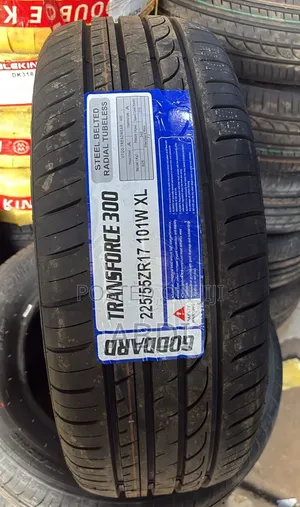 225/55r17 Goddard