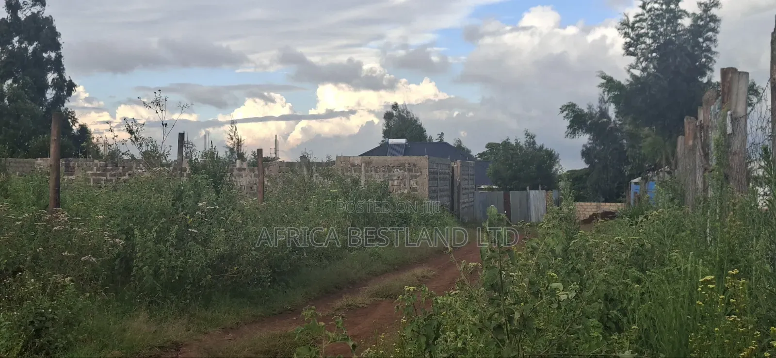 Prime Residential Plots for Sale – Kikuyu Ng’Amba, Kiambu County