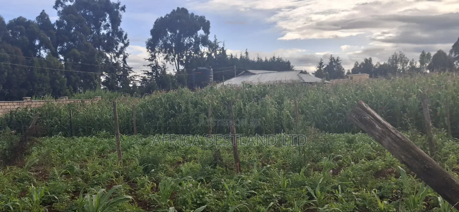 Prime Residential Plots for Sale – Kikuyu Ng’Amba, Kiambu County