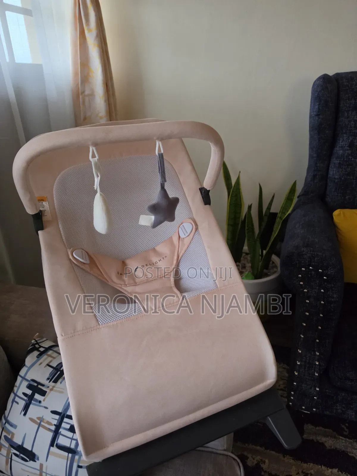 Baby Bouncer