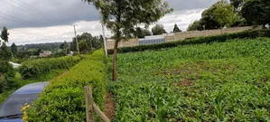Prime Residential Plots in Kikuyu Sigona Ward Thamanda