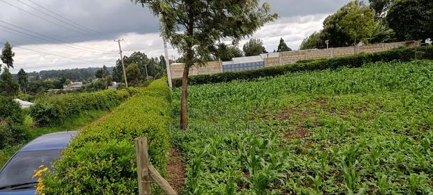 Prime Residential Plots in Kikuyu Sigona Ward Thamanda