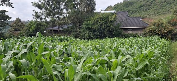 100x100 Plot for Sale – Kikuyu Lusigetti, Kiambu County | KSH 3.8m