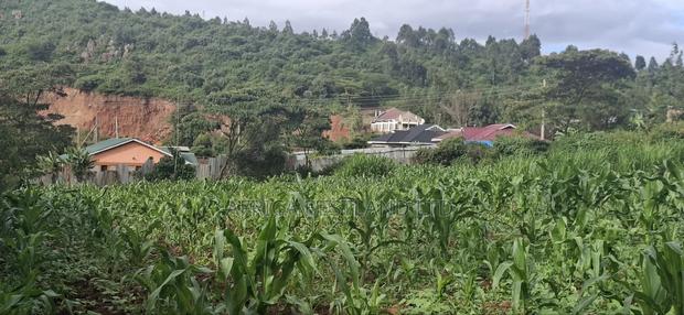 100x100 Plot for Sale – Kikuyu Lusigetti, Kiambu County | KSH 3.8m - thumbnail 3
