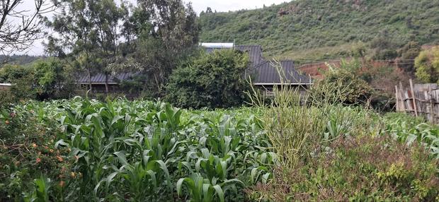 100x100 Plot for Sale – Kikuyu Lusigetti, Kiambu County | KSH 3.8m - thumbnail 5
