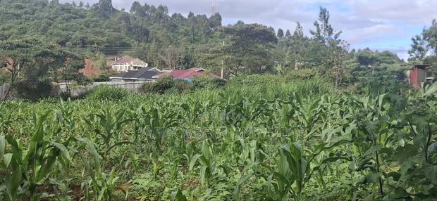 100x100 Plot for Sale – Kikuyu Lusigetti, Kiambu County | KSH 3.8m - thumbnail 7