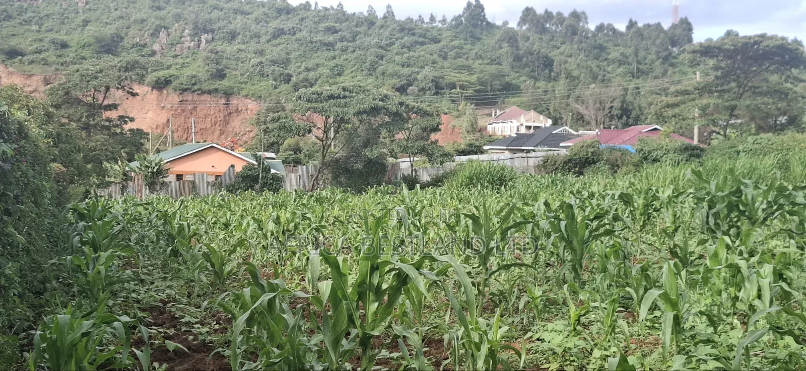 100x100 Plot for Sale – Kikuyu Lusigetti, Kiambu County | KSH 3.8m