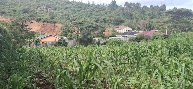 100x100 Plot for Sale – Kikuyu Lusigetti, Kiambu County | KSH 3.8m - thumbnail 8