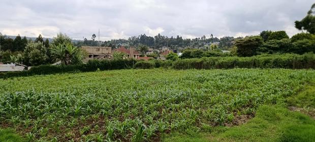 Kikuyu Sigona Prime Plots for Sale - thumbnail 2