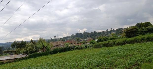 Kikuyu Sigona Prime Plots for Sale - thumbnail 3