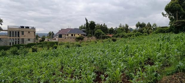 Kikuyu Sigona Prime Plots for Sale - thumbnail 4