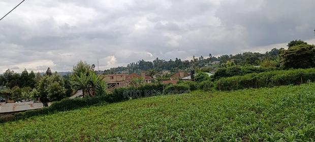 Kikuyu Sigona Prime Plots for Sale - thumbnail 5
