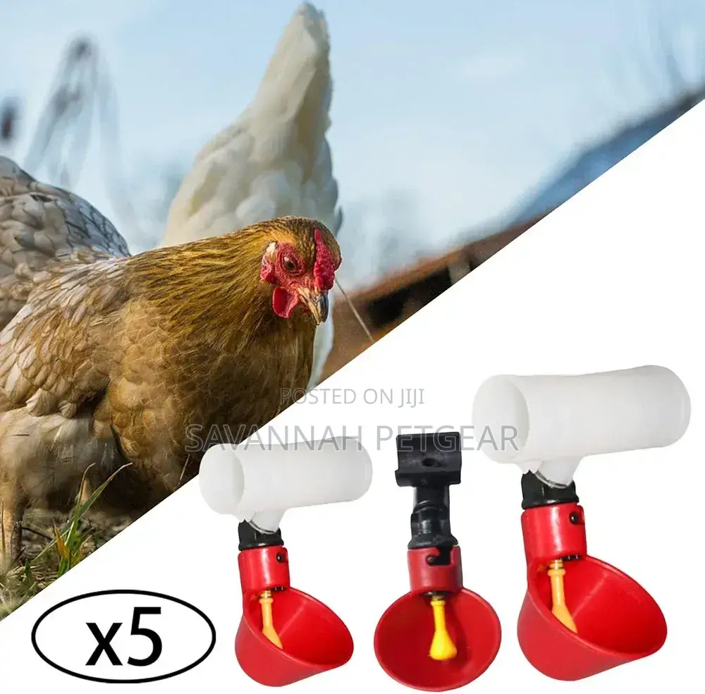 Poultry Water Drinking Cups for Chicken Hen Plastic Automatic Drinker