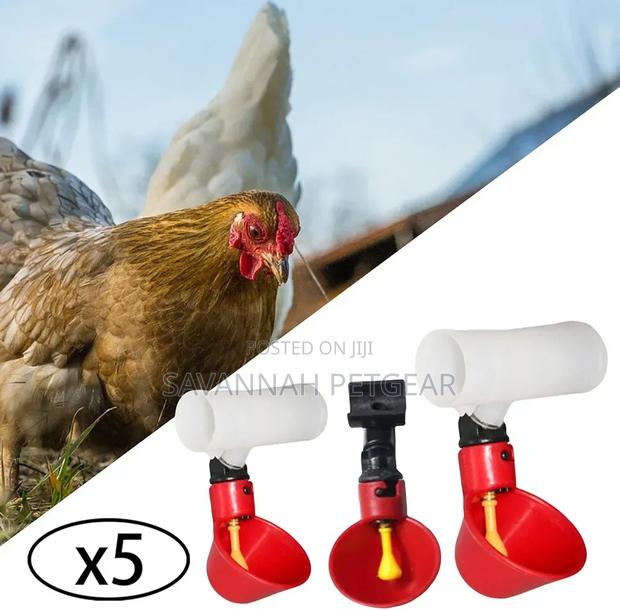 Poultry Water Drinking Cups for Chicken Hen Plastic Automatic Drinker
