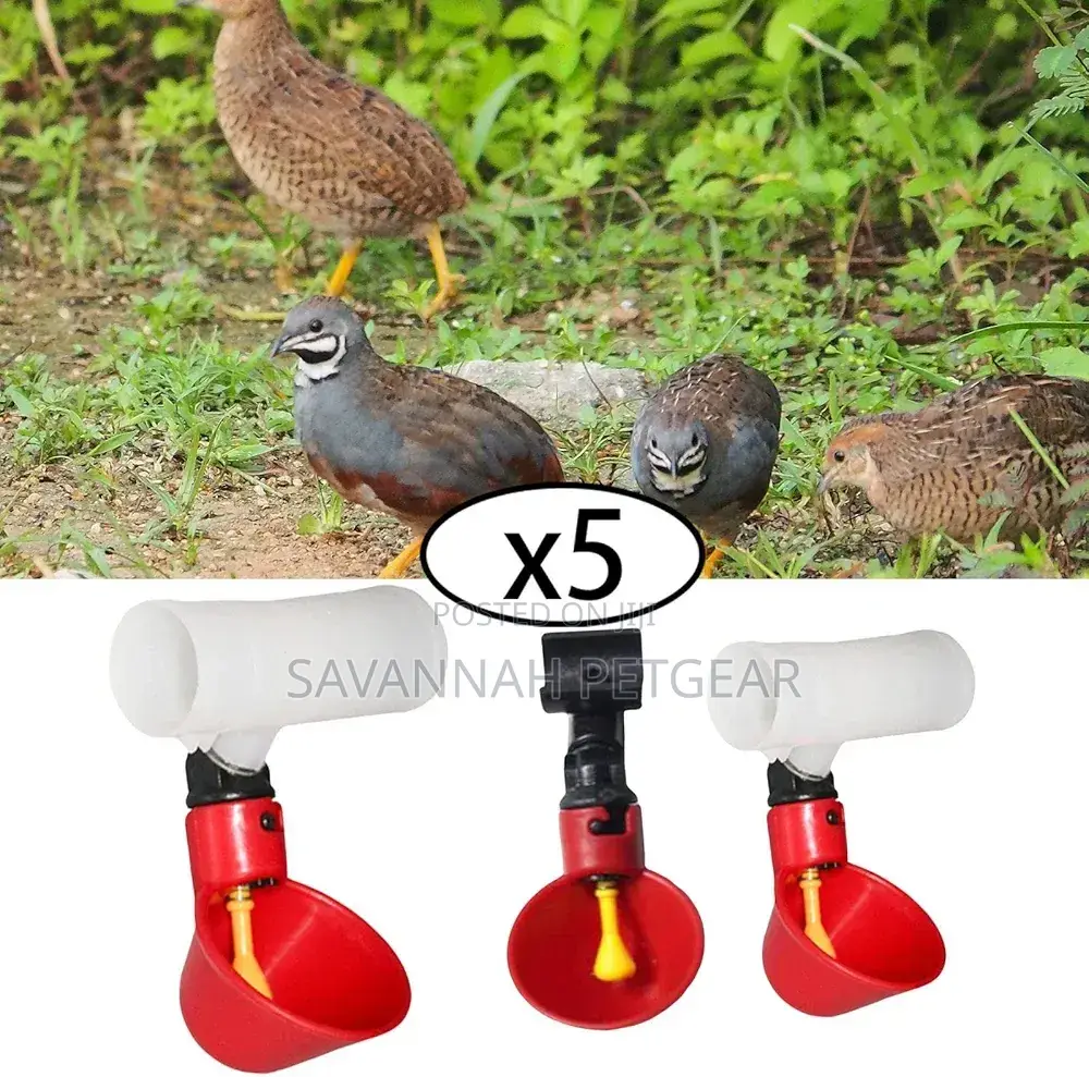Poultry Water Drinking Cups for Chicken Hen Plastic Automatic Drinker