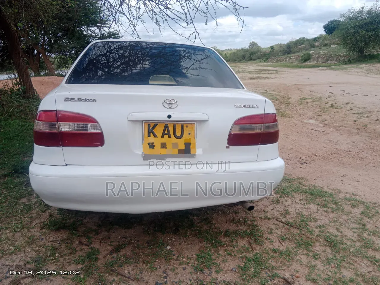 Toyota Corolla 1998 White