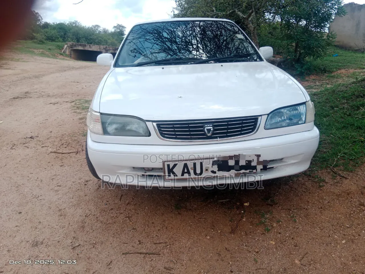 Toyota Corolla 1998 White