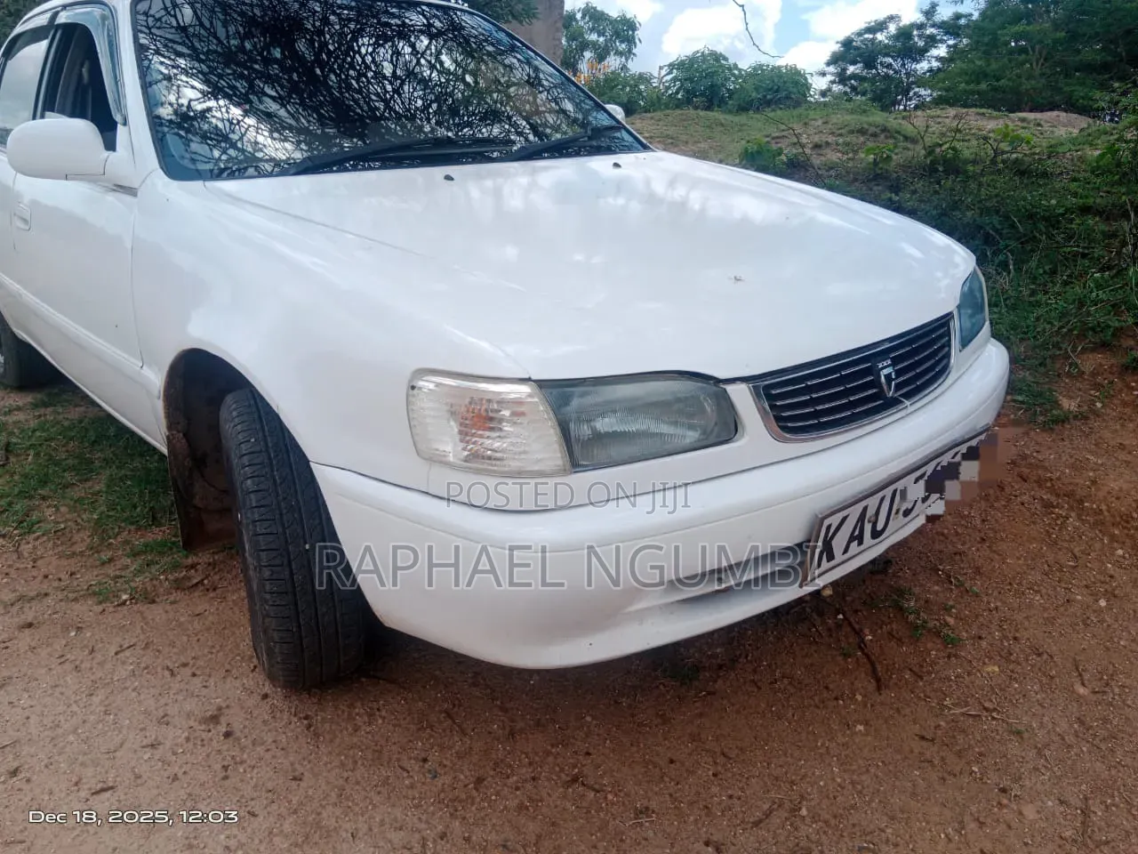 Toyota Corolla 1998 White
