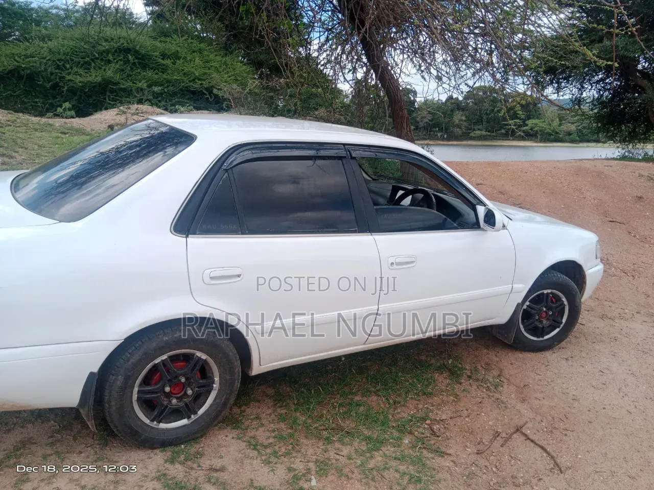 Toyota Corolla 1998 White