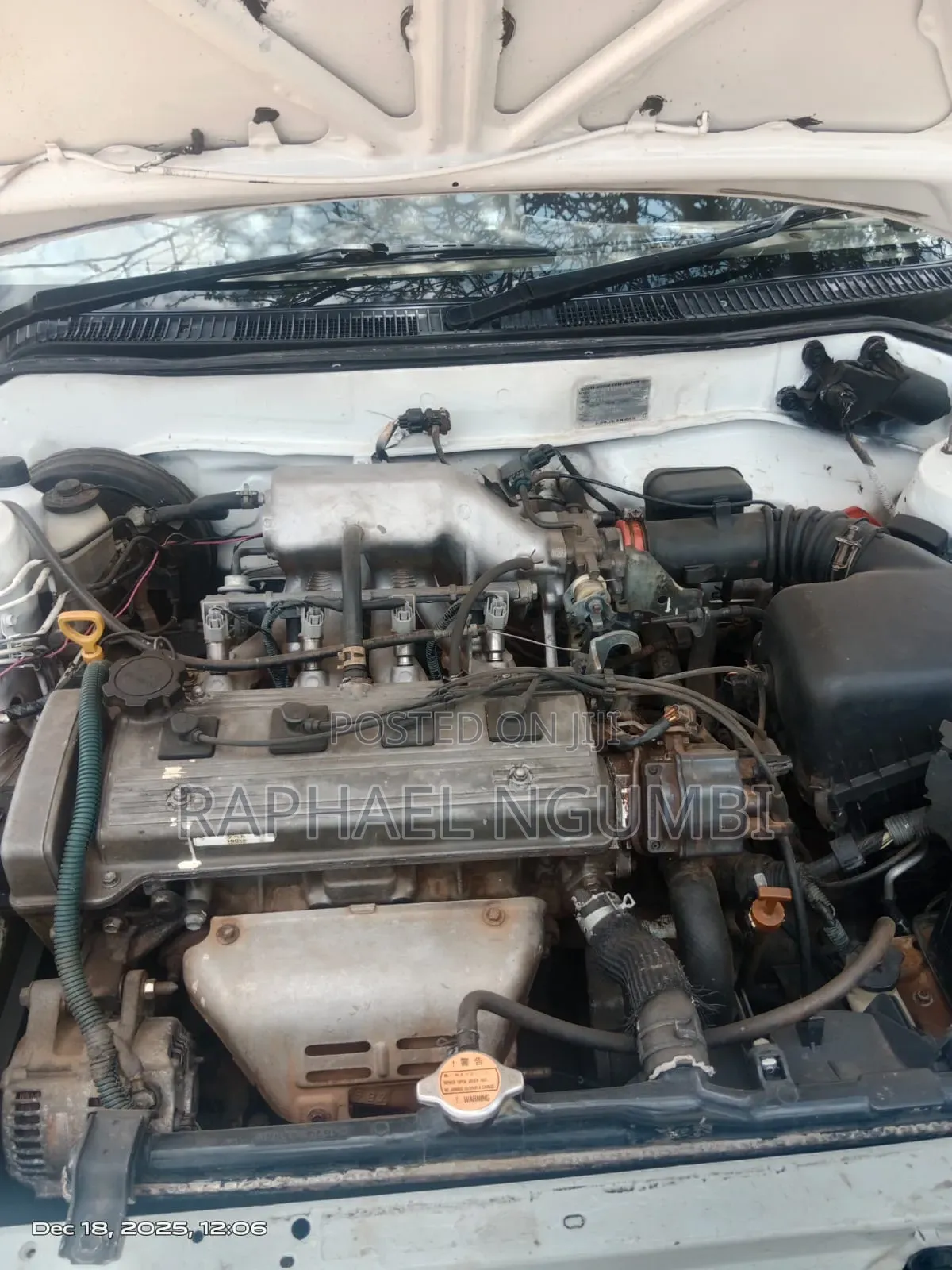 Toyota Corolla 1998 White