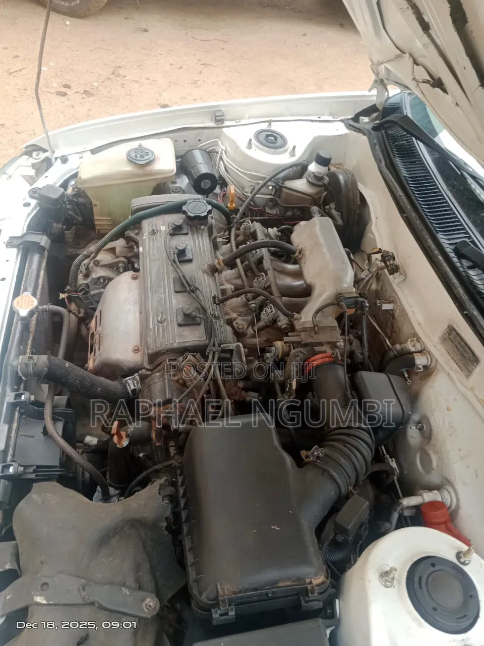 Toyota Corolla 1998 White