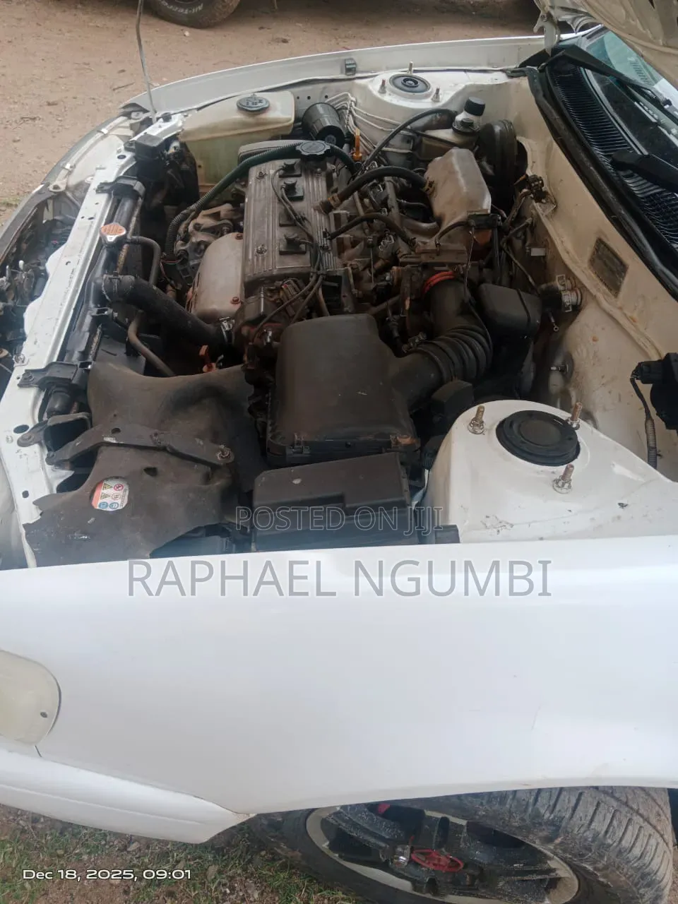Toyota Corolla 1998 White