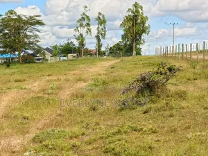 50*100 Isinya Highway Plots