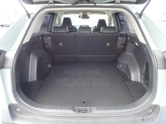 Toyota RAV4 Hybrid 2019 Green