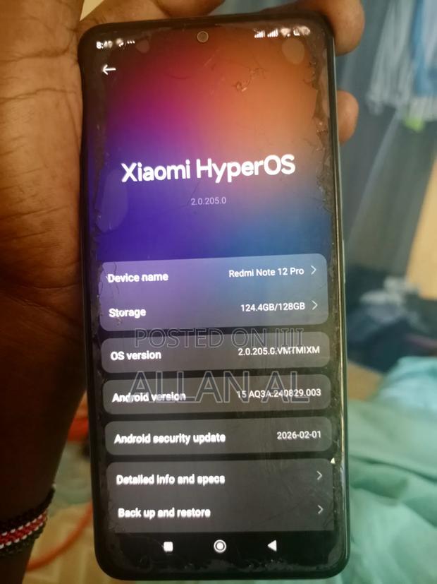 Xiaomi 12S Ultra 256 GB Silver