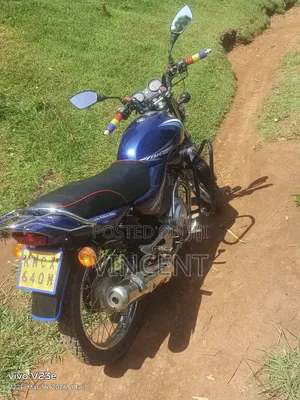 Yamaha YBR125 2015 Blue