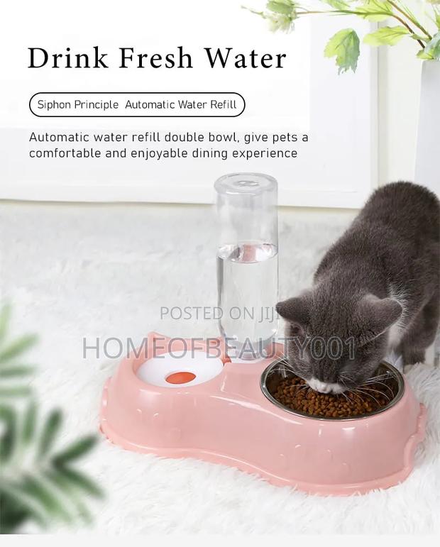 Automatic Single Pet Bowl Plus Water Dispenser
