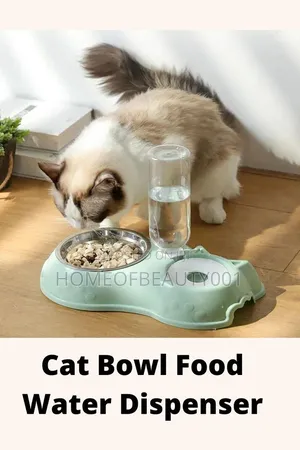 Automatic Single Pet Bowl Plus Water Dispenser