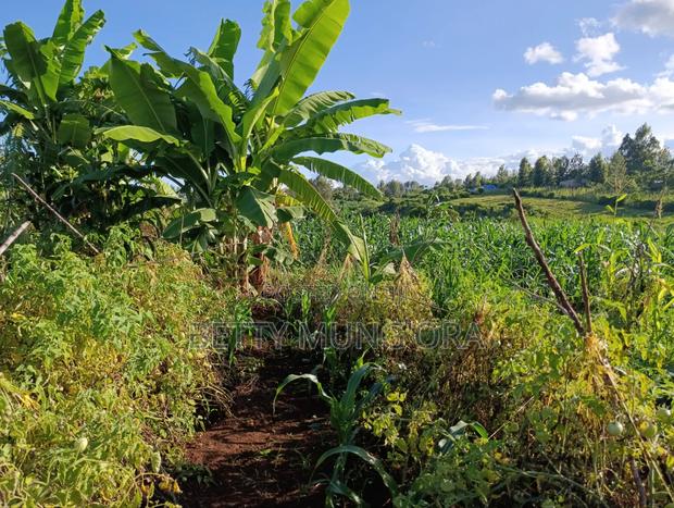 Selling Land Ideal for Settlement, Farming