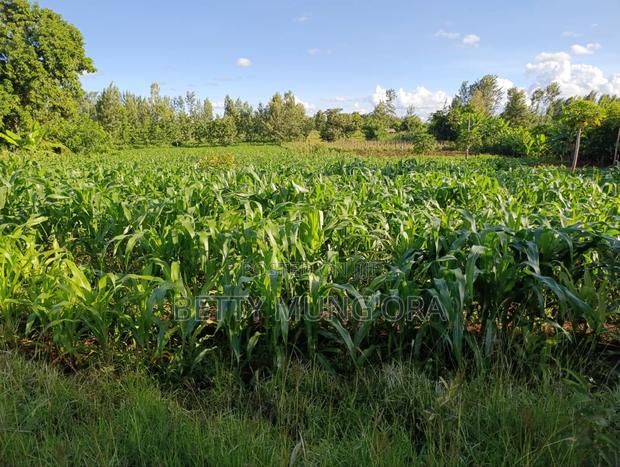 Selling Land in Kirinyaga County