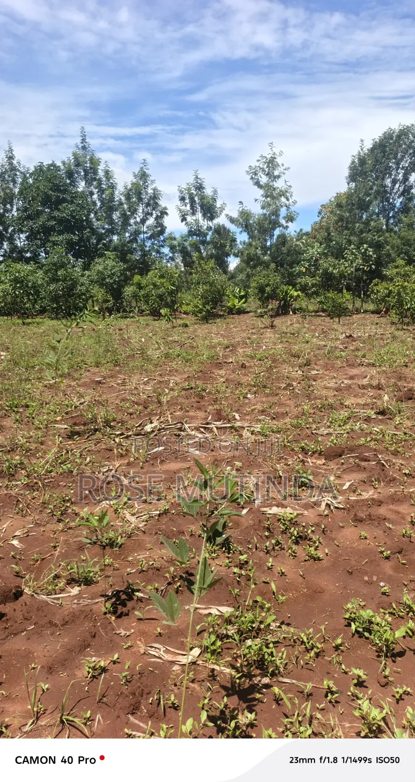 3guater an Acre at Tala