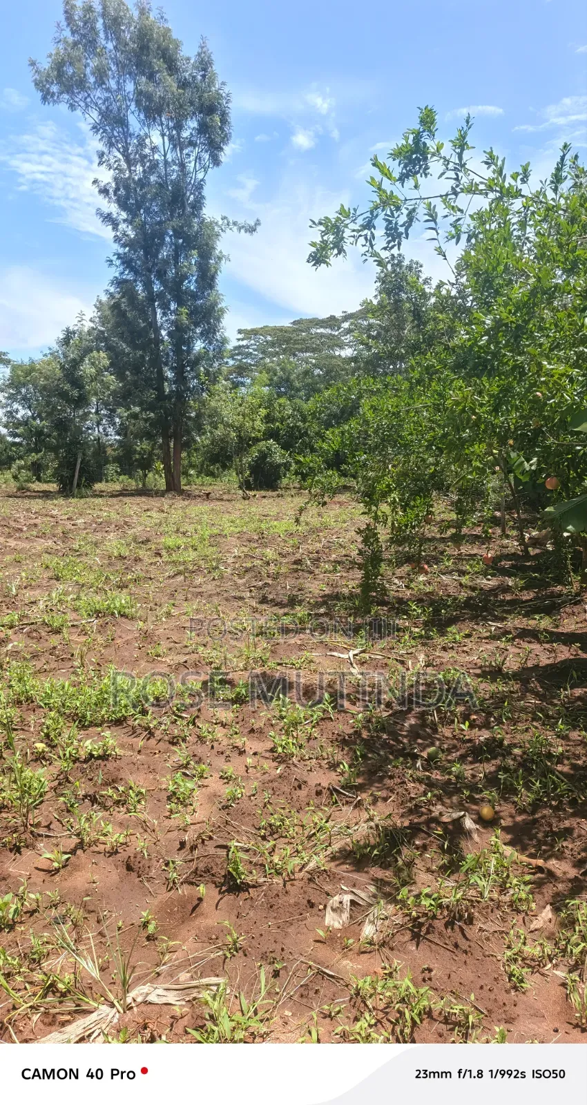 3guater an Acre at Tala