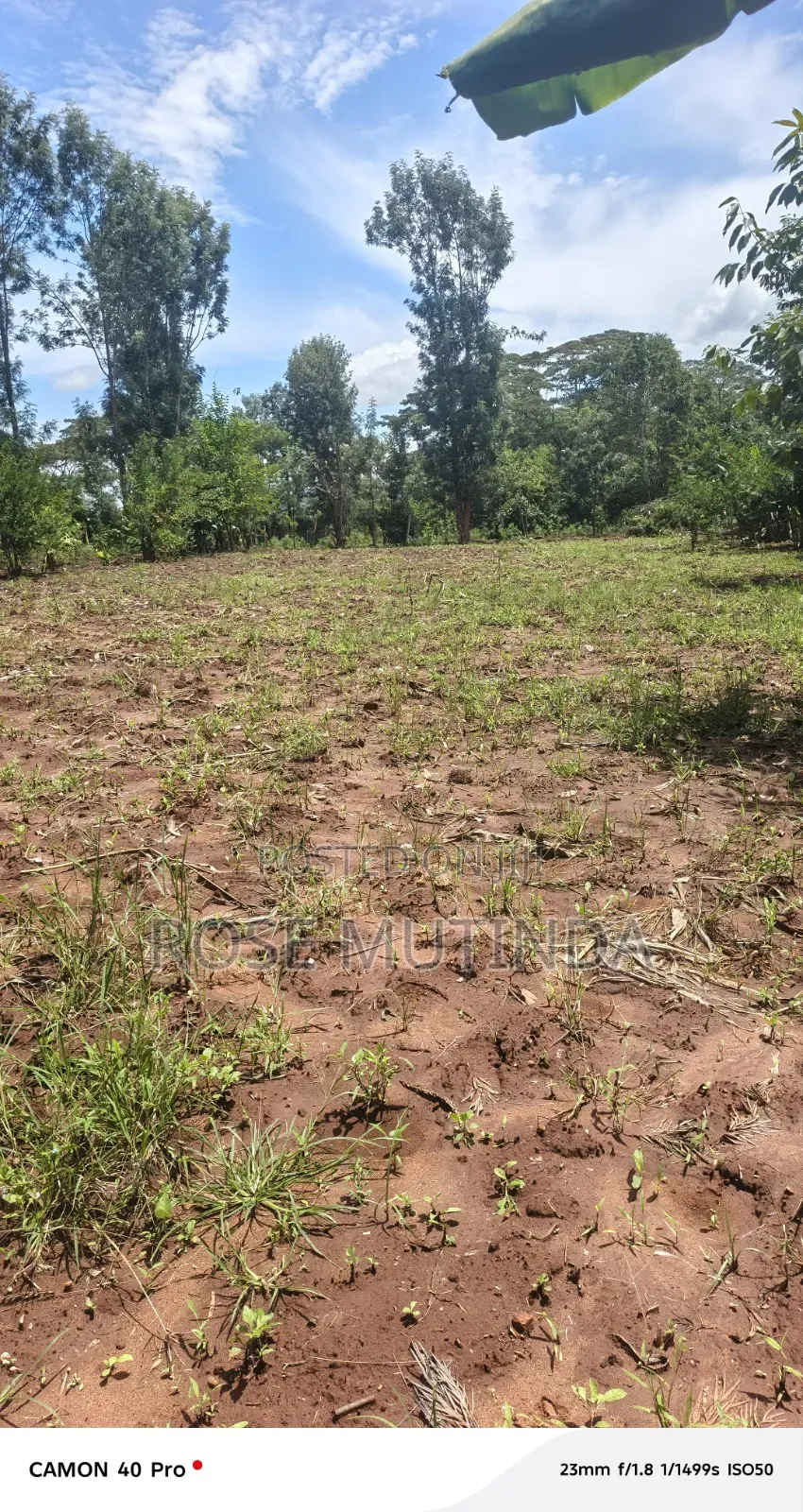 3guater an Acre at Tala