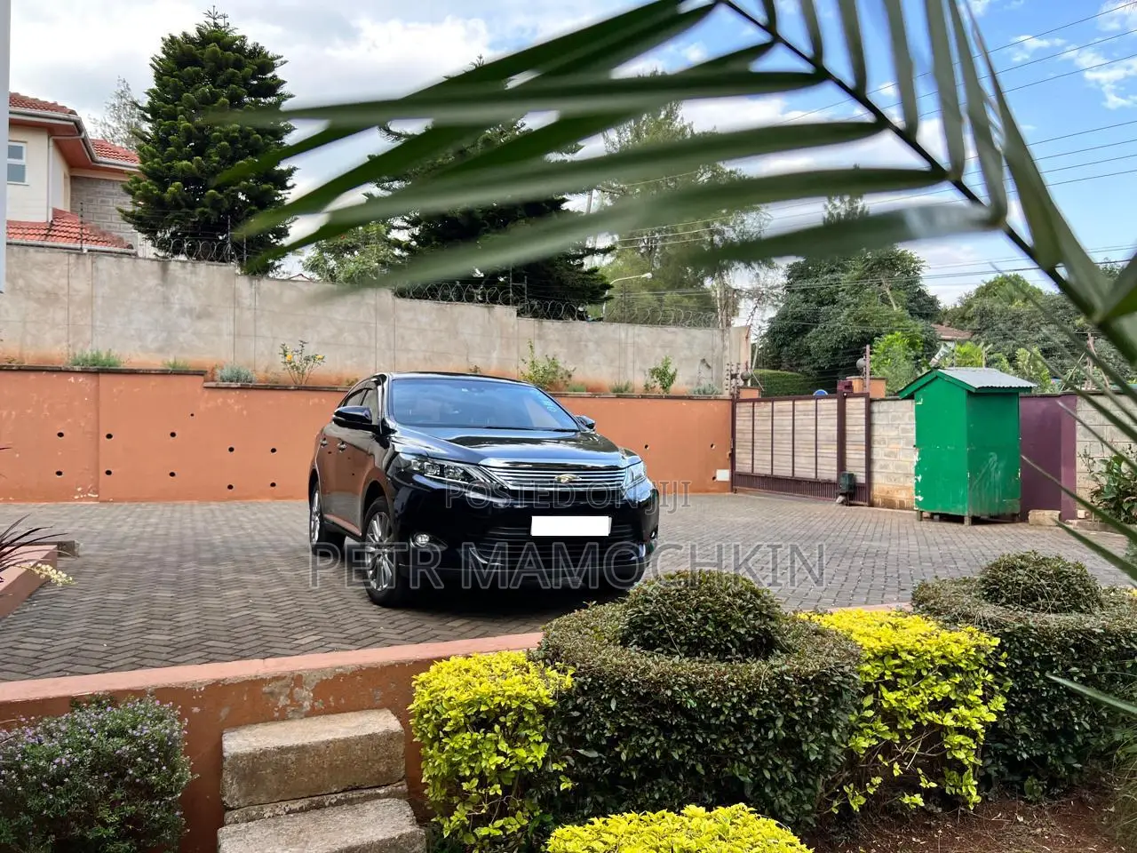 Toyota Harrier 2.0 2017 Black